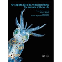 O espetáculo da vida marinha