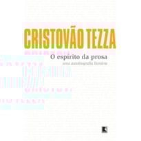 O ESPÍRITO DA PROSA
