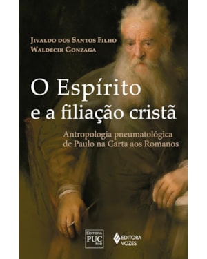 O ESPÍRITO E A FILIAÇÃO CRISTÃ: ANTROPOLOGIA PNEUMATOLÓGICA DE PAULO NA CARTA AOS ROMANOS