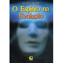 O ESPÍRITO NA EVOLUÇÃO