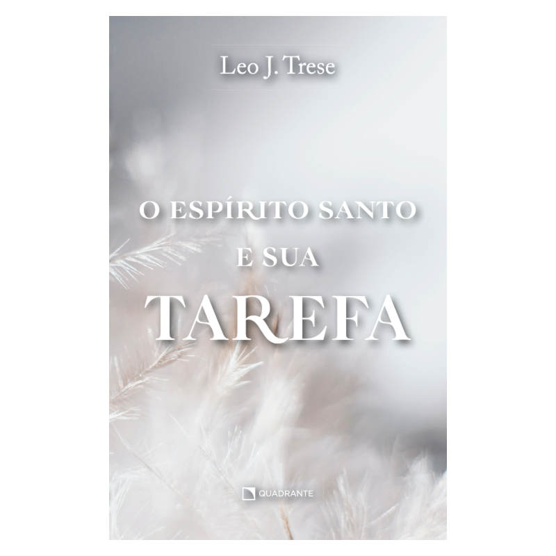 O ESPÍRITO SANTO E SUA TAREFA