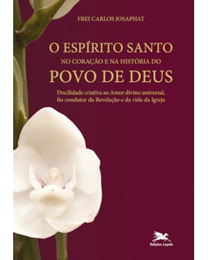 O ESPÍRITO SANTO, NO CORAÇÃO E NA HISTÓRIA DO POVO DE DEUS