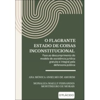 O FLAGRANTE ESTADO DE COISAS INCONSTITUCIONAL