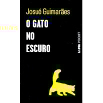 O gato no escuro