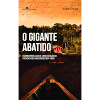 O gigante abatido: O longo processo de constituição da província do Amazonas (1821-1850)