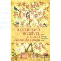 O GUERREIRO INVISÍVEL E OUTROS CONTOS DO TEMPO