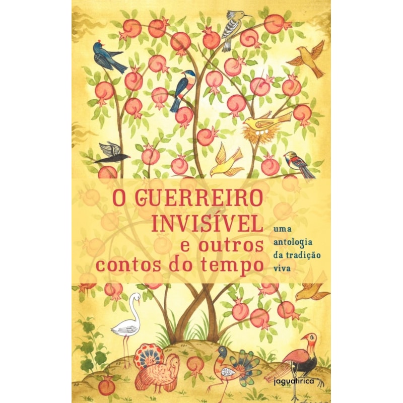 O GUERREIRO INVISÍVEL E OUTROS CONTOS DO TEMPO