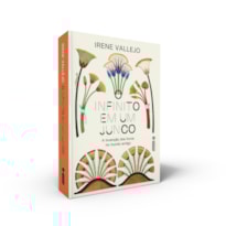 O INFINITO EM UM JUNCO - A INVENÇÃO DOS LIVROS NO MUNDO ANTIGO