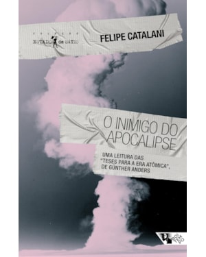 O inimigo do apocalipse: uma leitura das