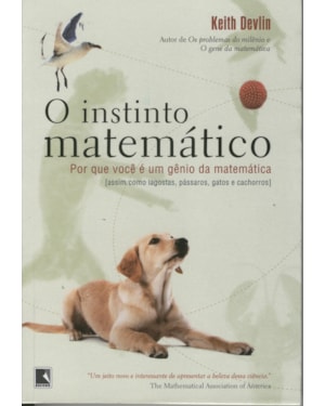 O INSTINTO MATEMÁTICO