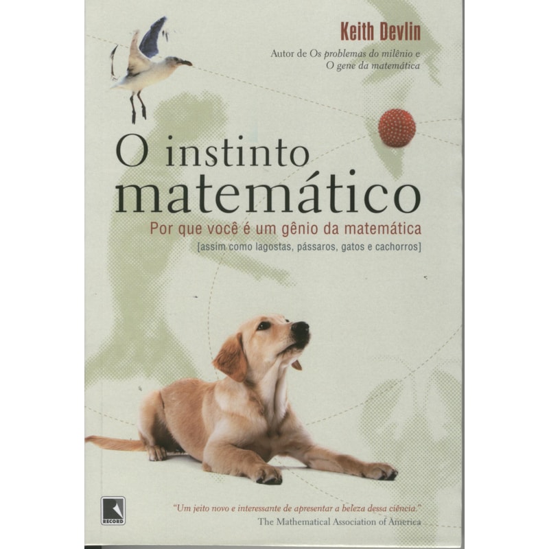 O INSTINTO MATEMÁTICO