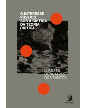 O interesse público sob a crítica da Teoria Crítica