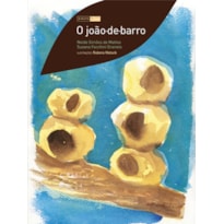 O JOÃO-DE-BARRO