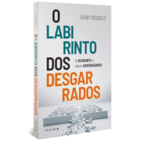 O LABIRINTO DOS DESGARRADOS: O OCIDENTE E SEUS ADVERSÁRIOS