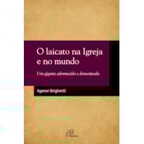 O LAICATO NA IGREJA E NO MUNDO - UM GIGANTE ADORMECIDO E DOMESTICADO