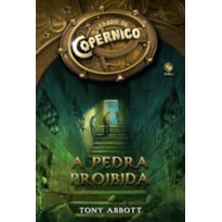 O LEGADO DE COPÉRNICO: A PEDRA PROIBIDA (VOL. 1): A PEDRA PROIBIDA