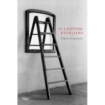 O LEITOR FINGIDO: ENSAIOS