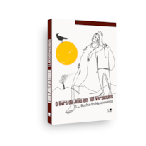 O livro de João em 101 versículos