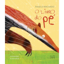 O LIVRO DO PÉ