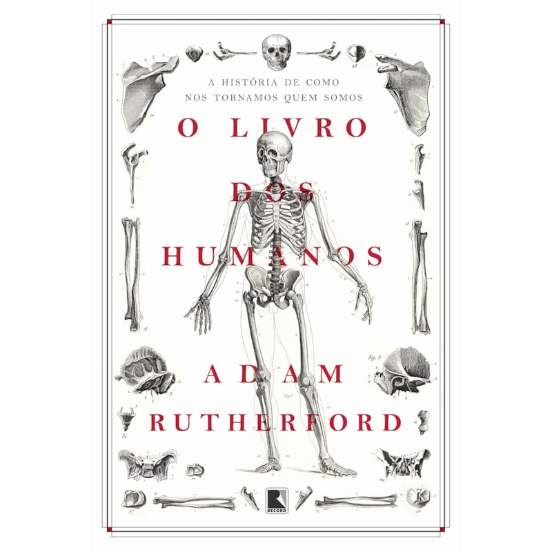 O LIVRO DOS HUMANOS - A HISTÓRIA DE COMO NOS TORNAMOS QUEM SOMOS