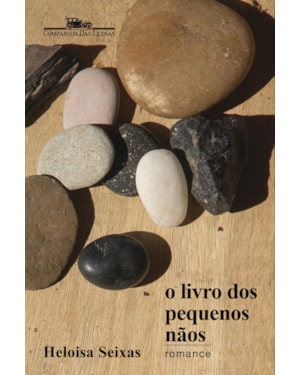 O livro dos pequenos nãos: romance