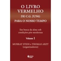 O LIVRO VERMELHO DE C. G. JUNG PARA O NOSSO TEMPO VOL. 1: EM BUSCA DA ALMA SOB CONDIÇÕES PÓS-MODERNAS