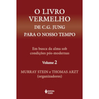 O LIVRO VERMELHO DE C. G. JUNG PARA O NOSSO TEMPO VOL. 2: EM BUSCA DA ALMA SOB CONDIÇÕES PÓS-MODERNAS