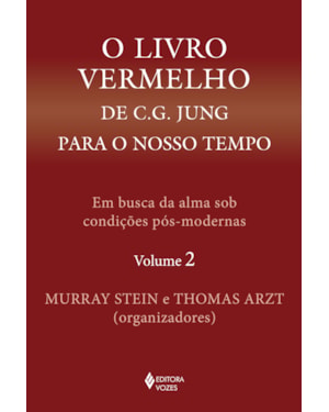 O LIVRO VERMELHO DE C. G. JUNG PARA O NOSSO TEMPO VOL. 2: EM BUSCA DA ALMA SOB CONDIÇÕES PÓS-MODERNAS