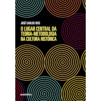 O LUGAR CENTRAL DA TEORIA-METODOLOGIA NA CULTURA HISTÓRICA
