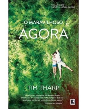 O MARAVILHOSO AGORA