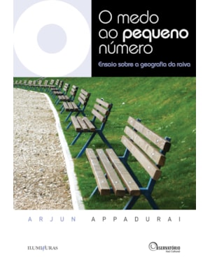 O MEDO AO PEQUENO NÚMERO: ENSAIO SOBRE A GEOGRAFIA DA RAIVA