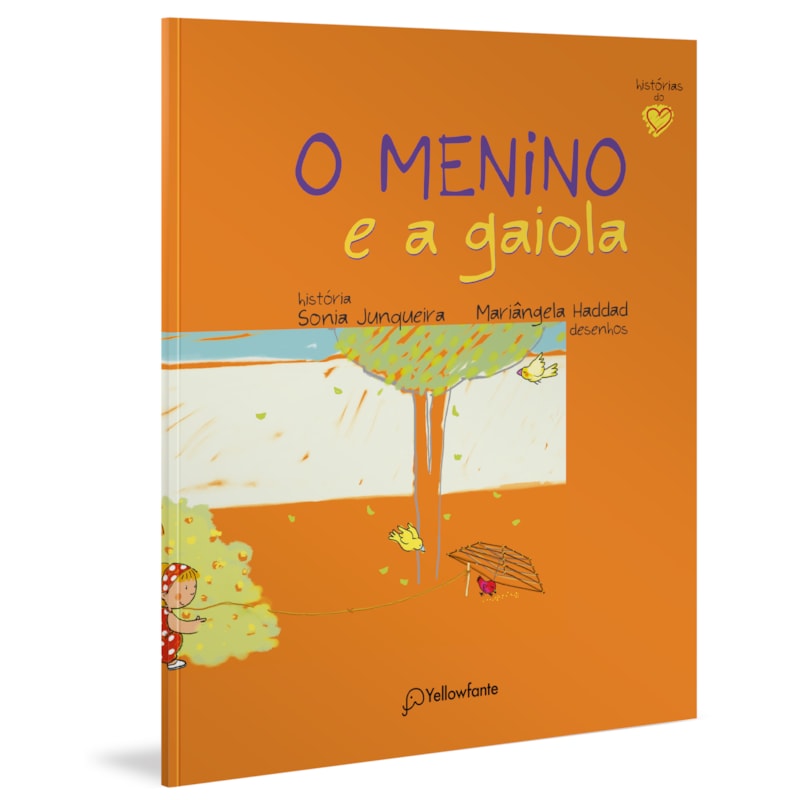 O MENINO E A GAIOLA