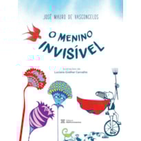 O MENINO INVISÍVEL