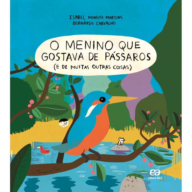 O MENINO QUE GOSTAVA DE PÁSSAROS (E DE MUITAS OUTRAS COISAS): E DE MUITAS OUTRAS COISAS