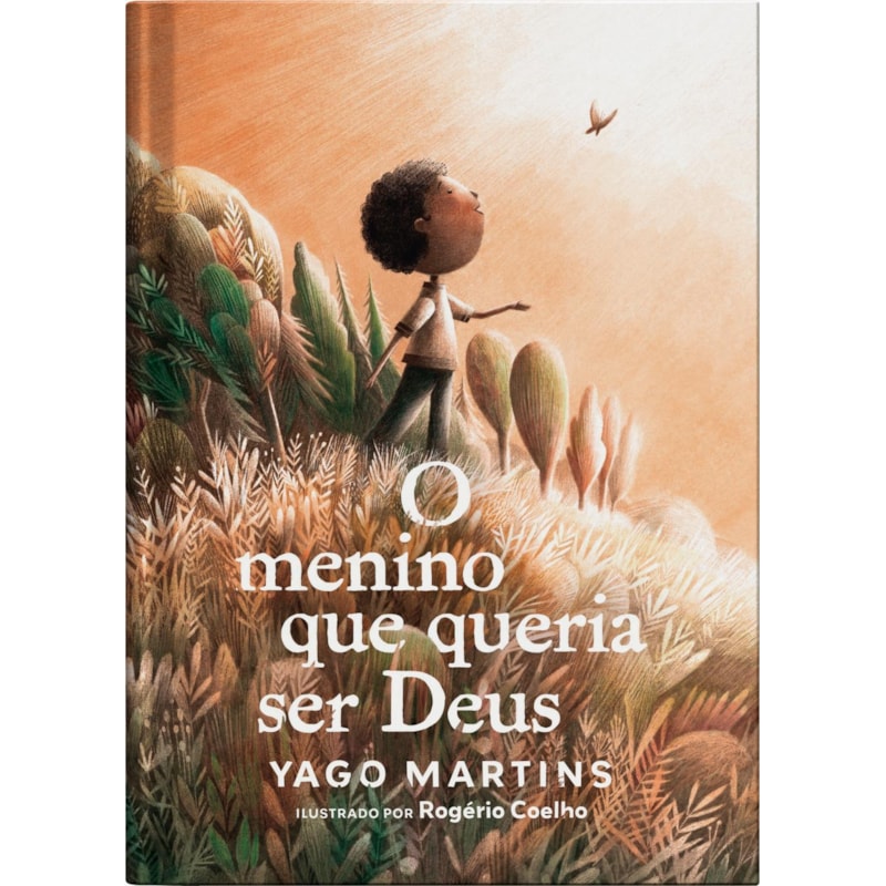 O MENINO QUE QUERIA SER DEUS - FICÇÃO INFANTOJUVENIL ILUSTRADA, COM CAPA DURA