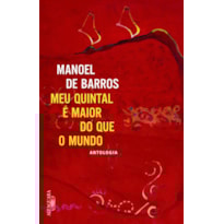 O MEU QUINTAL É MAIOR DO QUE O MUNDO