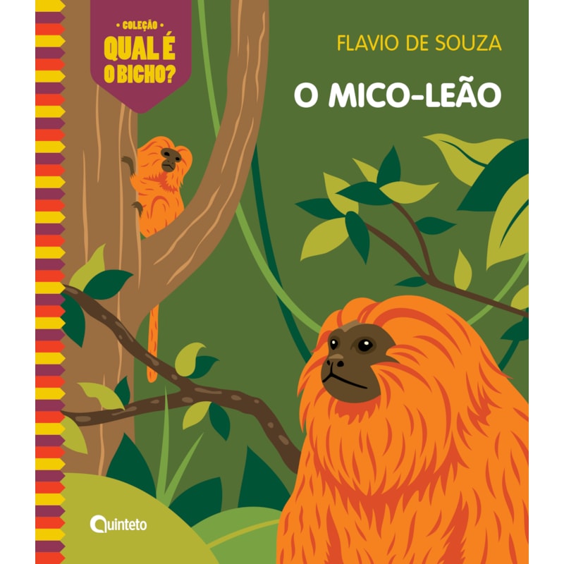 O MICO-LEÃO