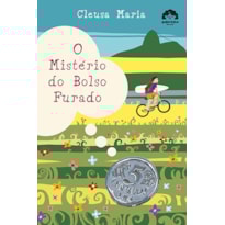 O MISTÉRIO DO BOLSO FURADO