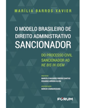 O modelo brasileiro de direito administrativo sancionador: do processo civil sancionador ao ne bis in idem