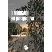 O MORGADO EM PERSPECTIVA: A POLÍTICA ADMINISTRATIVA EM TORNO DAS TERRAS DO ANTIGO DO MORGADO DE MARAPICÚ (1772 - 1940)