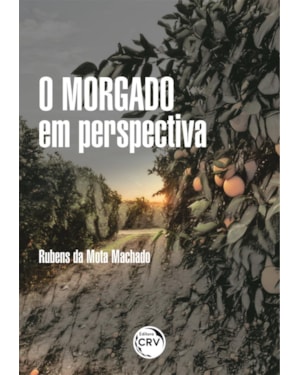 O MORGADO EM PERSPECTIVA: A POLÍTICA ADMINISTRATIVA EM TORNO DAS TERRAS DO ANTIGO DO MORGADO DE MARAPICÚ (1772 - 1940)