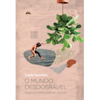 O MUNDO DESDOBRÁVEL: ENSAIOS PARA DEPOIS DO FIM