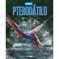 O MUNDO DO PTERODÁTILO