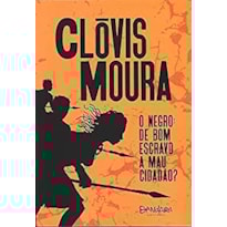 O NEGRO, DE BOM ESCRAVO A MAU CIDADÃO?