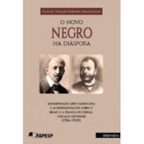 O NOVO NEGRO NA DIÁSPORA - MODERNIDADE AFRO-AMERICANA E AS REPRESENTAÇÕES SOBRE O BRASIL E A FRANÇA NO JORNAL CHICAGO DEFENDER