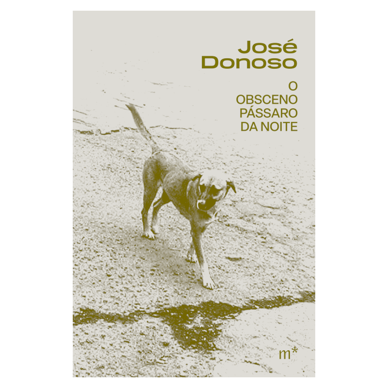 O OBSCENO PÁSSARO DA NOITE