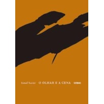 O OLHAR E A CENA