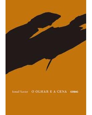 O OLHAR E A CENA