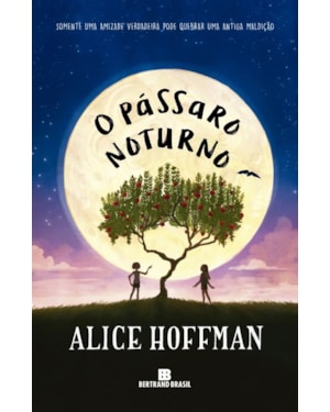 O PÁSSARO NOTURNO