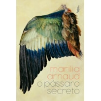 O PÁSSARO SECRETO O PÁSSARO SECRETO